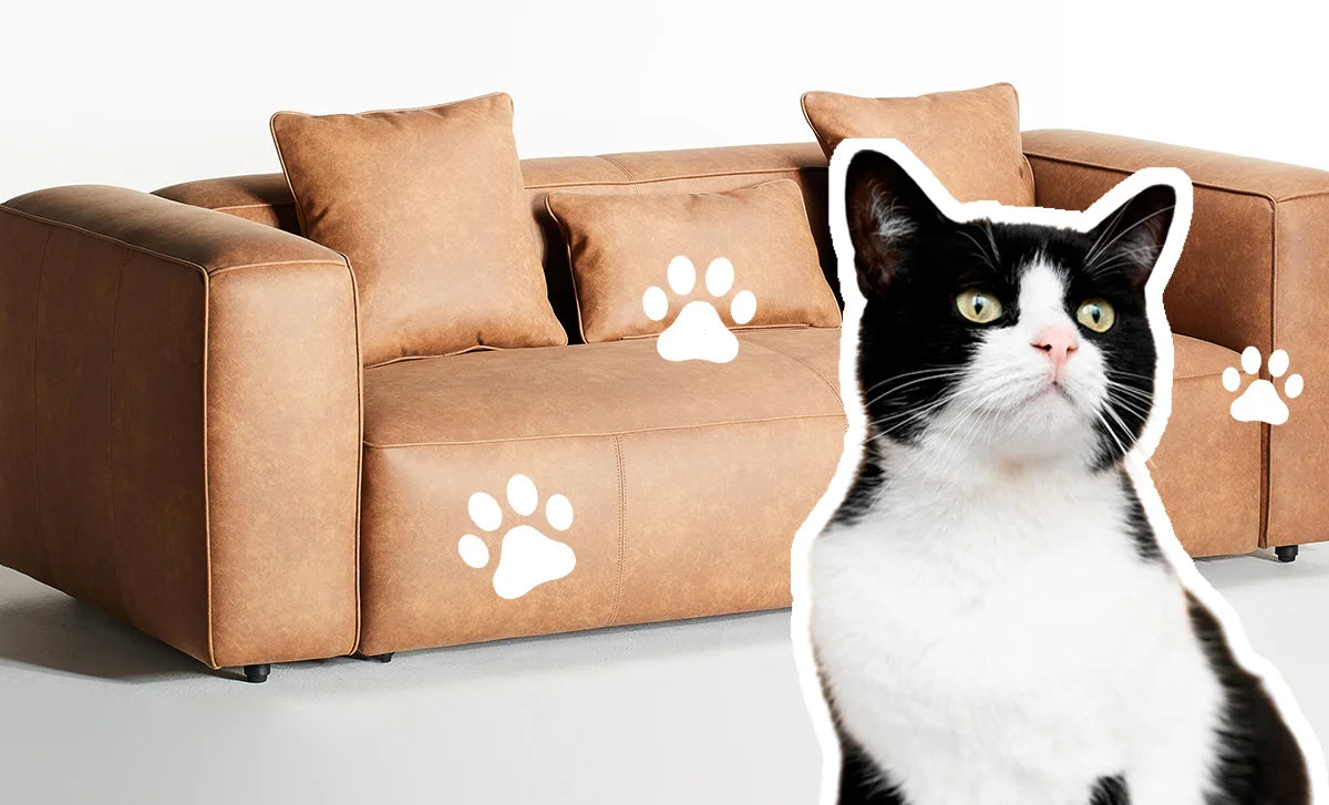 How to Cat-Proof Your Furniture?