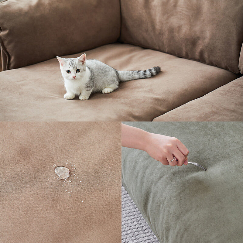 Cat resistant couch best sale